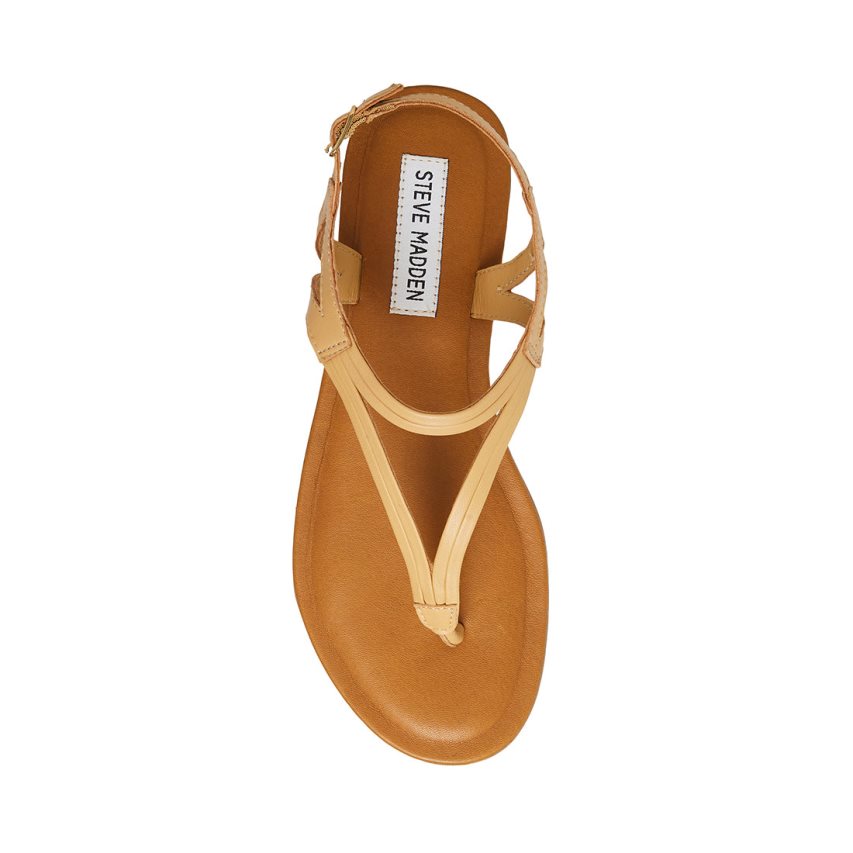 Beige Steve Madden Sydney Women's Flat Sandals | CIVKZ8572