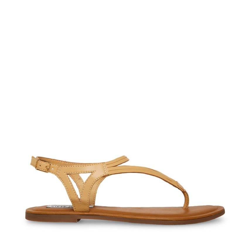 Beige Steve Madden Sydney Women\'s Flat Sandals | CIVKZ8572