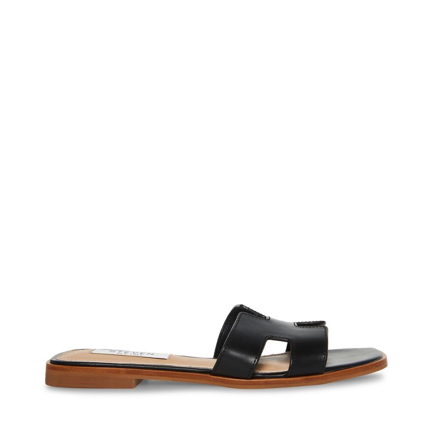 Black Steve Madden Hadyn Leather Women's Slides | VWJSD1097