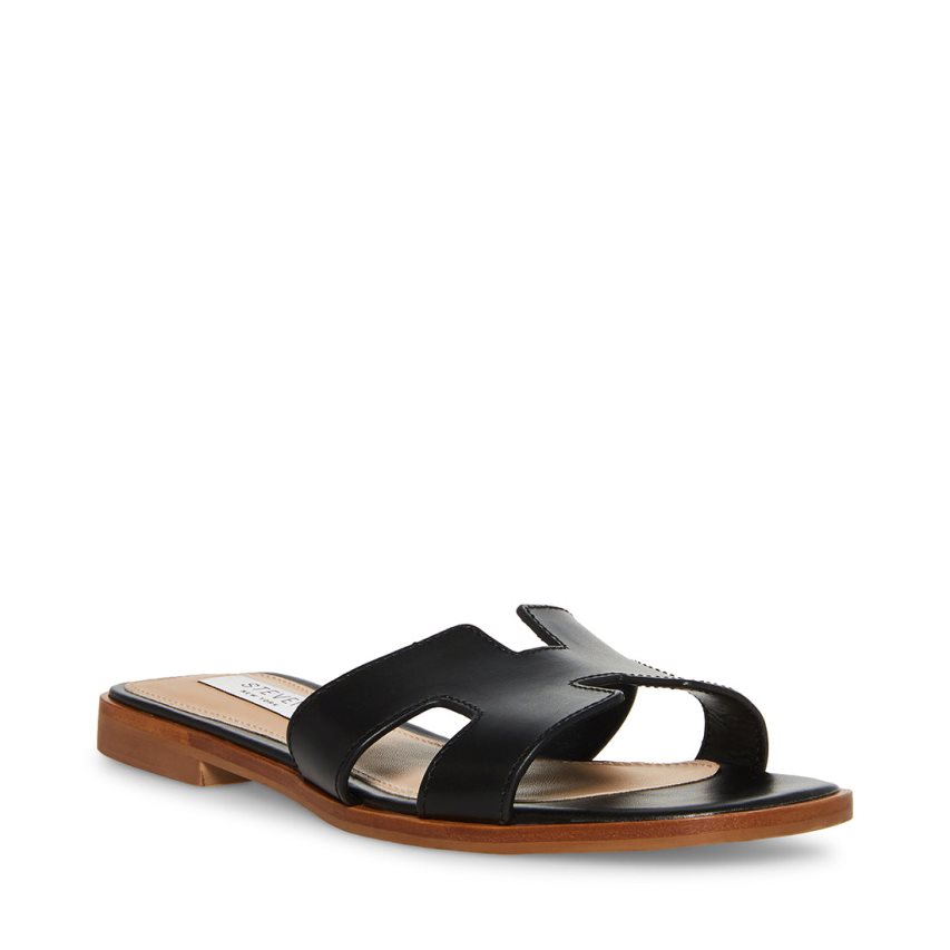 Black Steve Madden Hadyn Leather Women\'s Slides | VWJSD1097