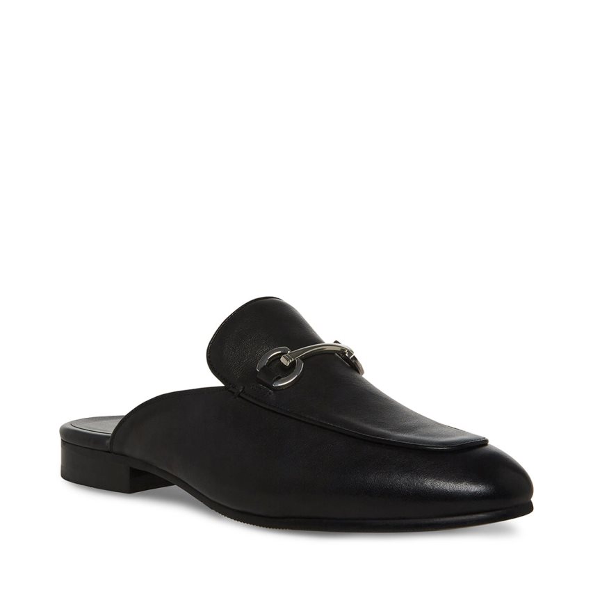 Black Steve Madden Mateo Leather Men's Mules | TWSPE7825