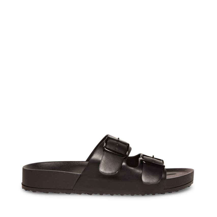 Black Steve Madden Teddy-t Women's Slides | BNCKT7631