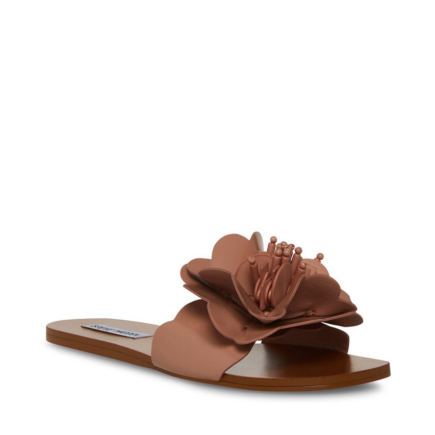 Brown Steve Madden Chelsea Women\'s Flat Sandals | HONWG8135