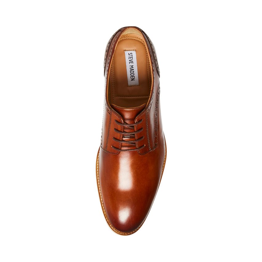 Brown Steve Madden Derbyy Leather Men's Derby Shoes | FRXHZ6547