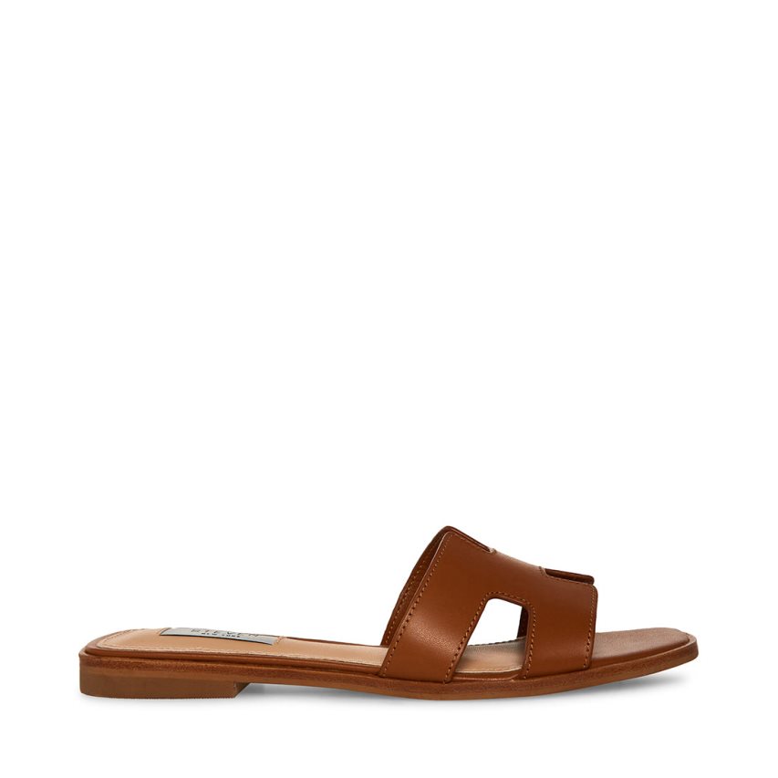 Brown Steve Madden Hadyn Leather Women's Slides | MWSXY3871