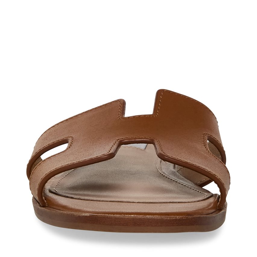 Brown Steve Madden Hadyn Leather Women's Slides | MWSXY3871