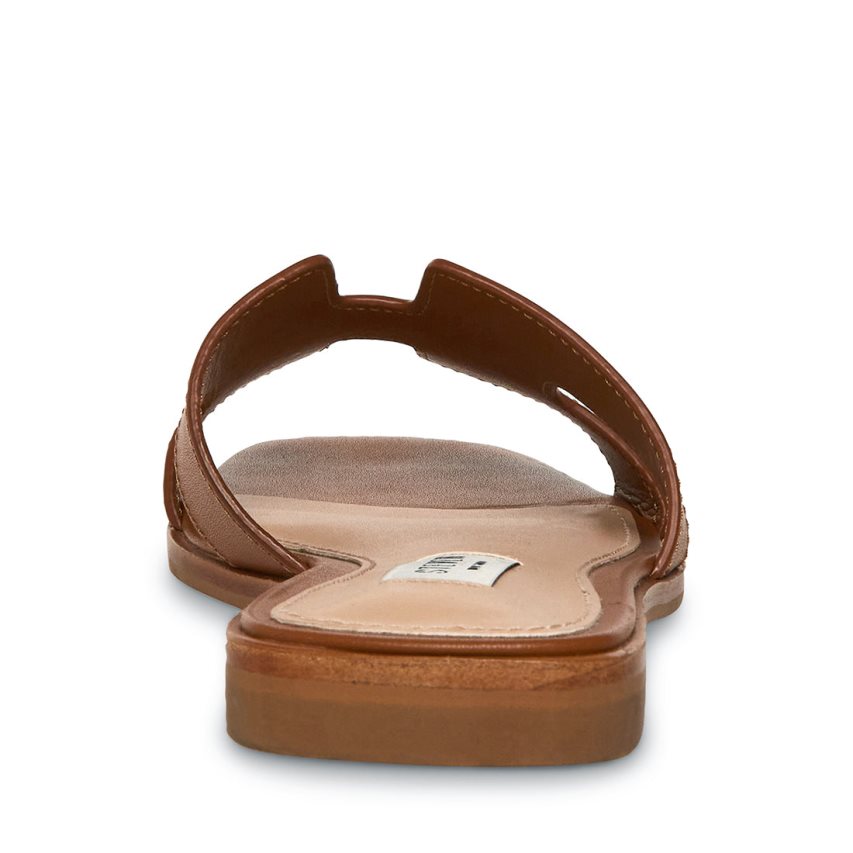 Brown Steve Madden Hadyn Leather Women's Slides | MWSXY3871