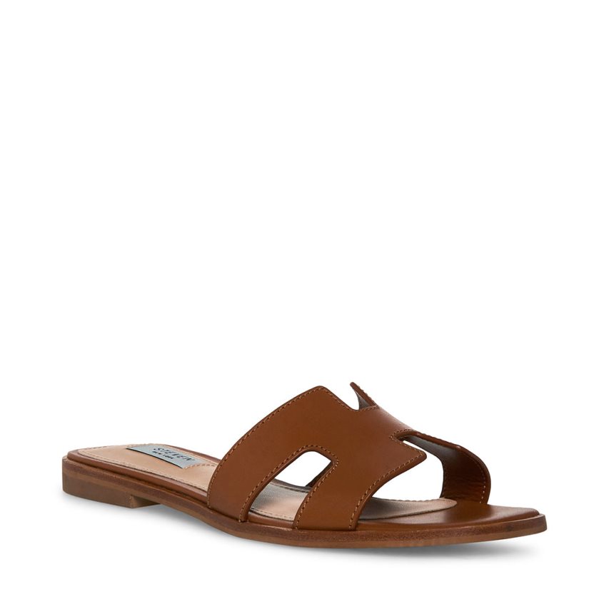 Brown Steve Madden Hadyn Leather Women\'s Slides | MWSXY3871