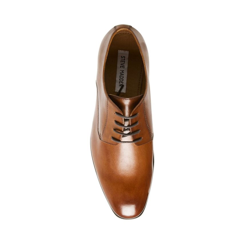 Brown Steve Madden Prey Leather Men's Derby Shoes | PBKAH4658