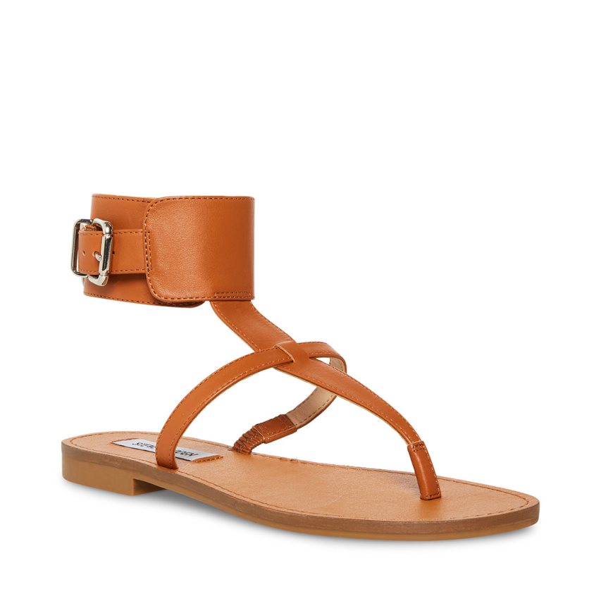 Brown Steve Madden Rico Leather Women's Flat Sandals | BTGPU0574