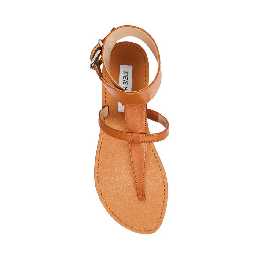 Brown Steve Madden Rico Leather Women's Flat Sandals | BTGPU0574