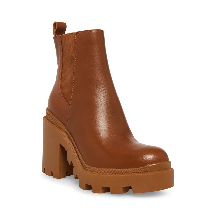 Brown Steve Madden Roxie Leather Women's Ankle Boots | UWKLO3649