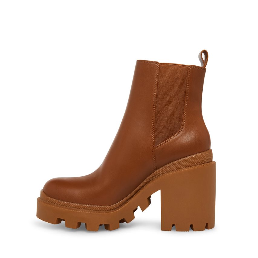 Brown Steve Madden Roxie Leather Women's Ankle Boots | UWKLO3649