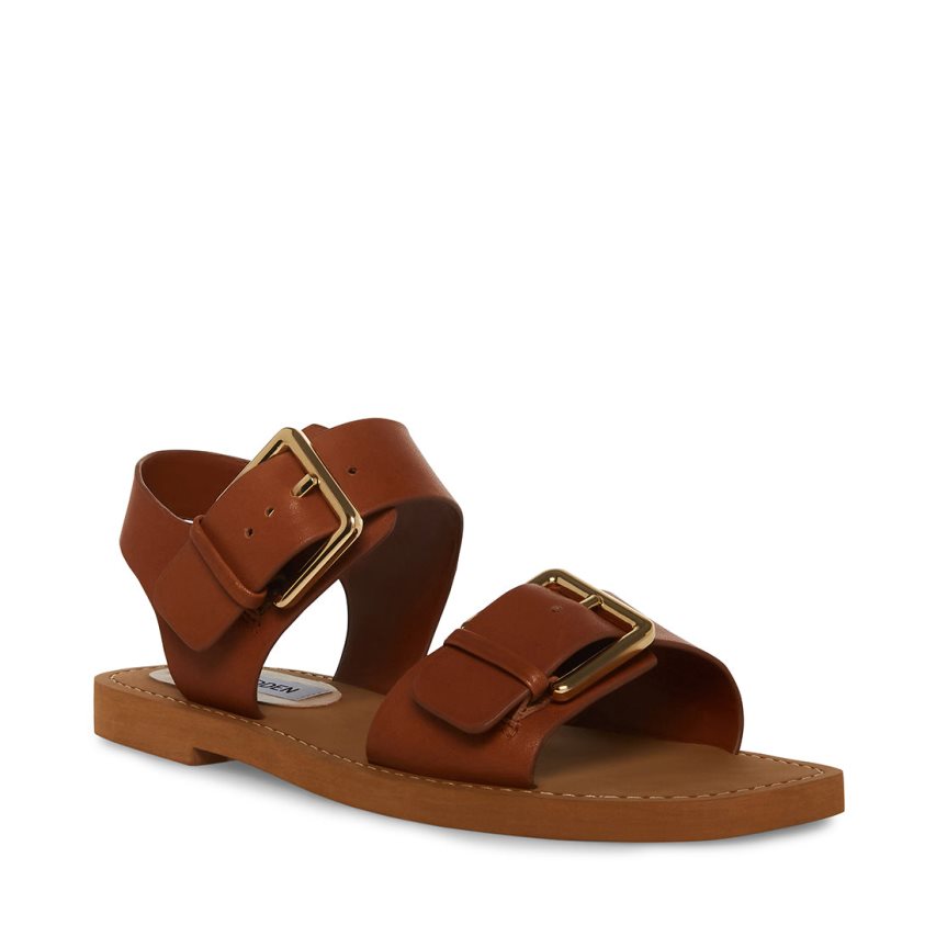 Brown Steve Madden Santo Leather Women's Flat Sandals | VXT12M8491