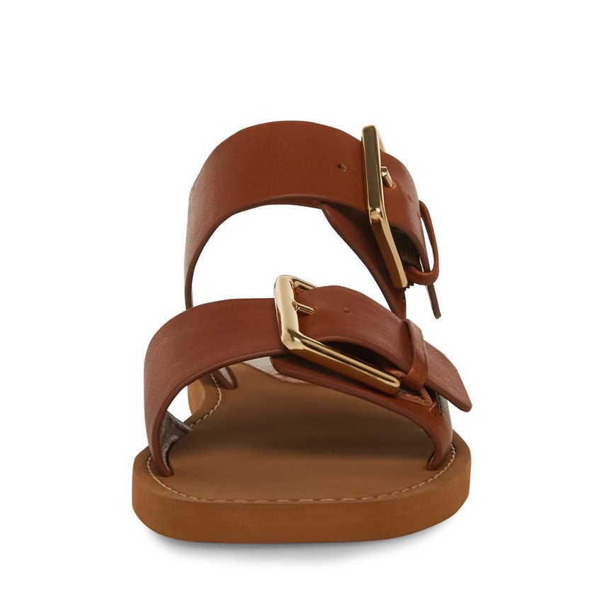 Brown Steve Madden Santo Leather Women's Flat Sandals | VXT12M8491