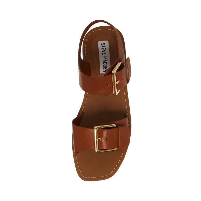 Brown Steve Madden Santo Leather Women's Flat Sandals | VXT12M8491