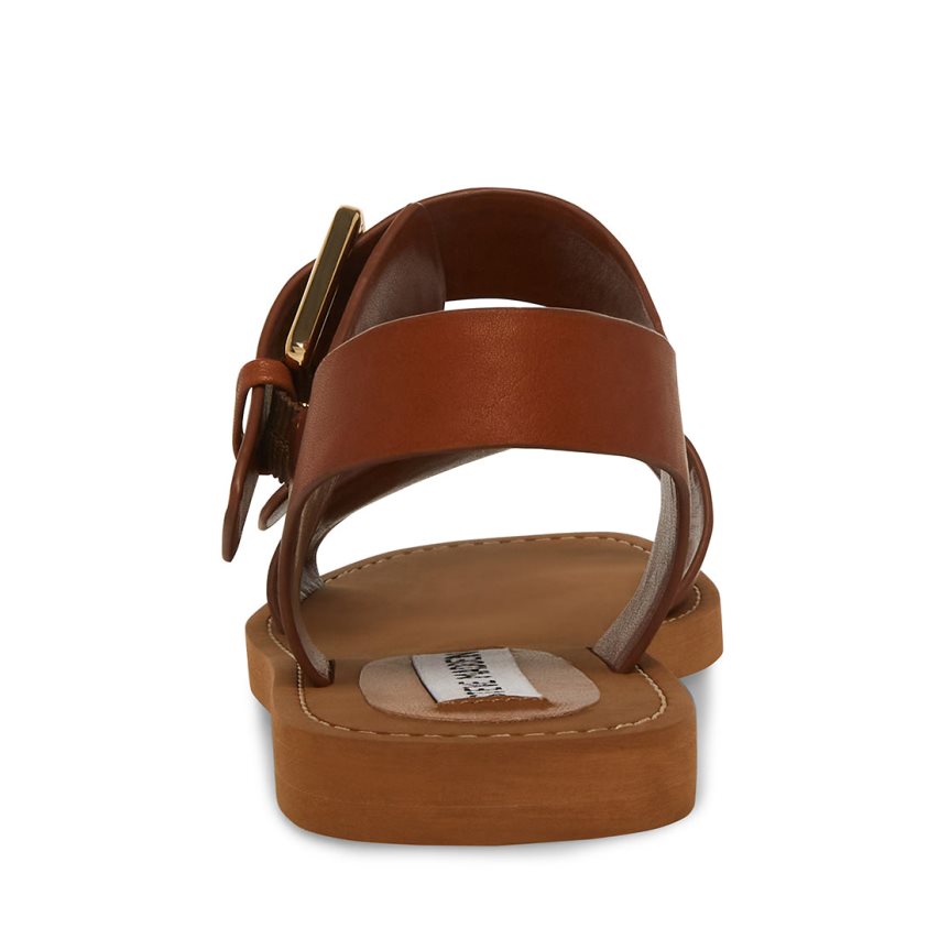 Brown Steve Madden Santo Leather Women's Flat Sandals | VXT12M8491