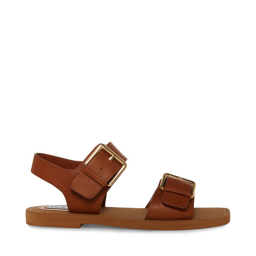 Brown Steve Madden Santo Leather Women\'s Flat Sandals | VXT12M8491