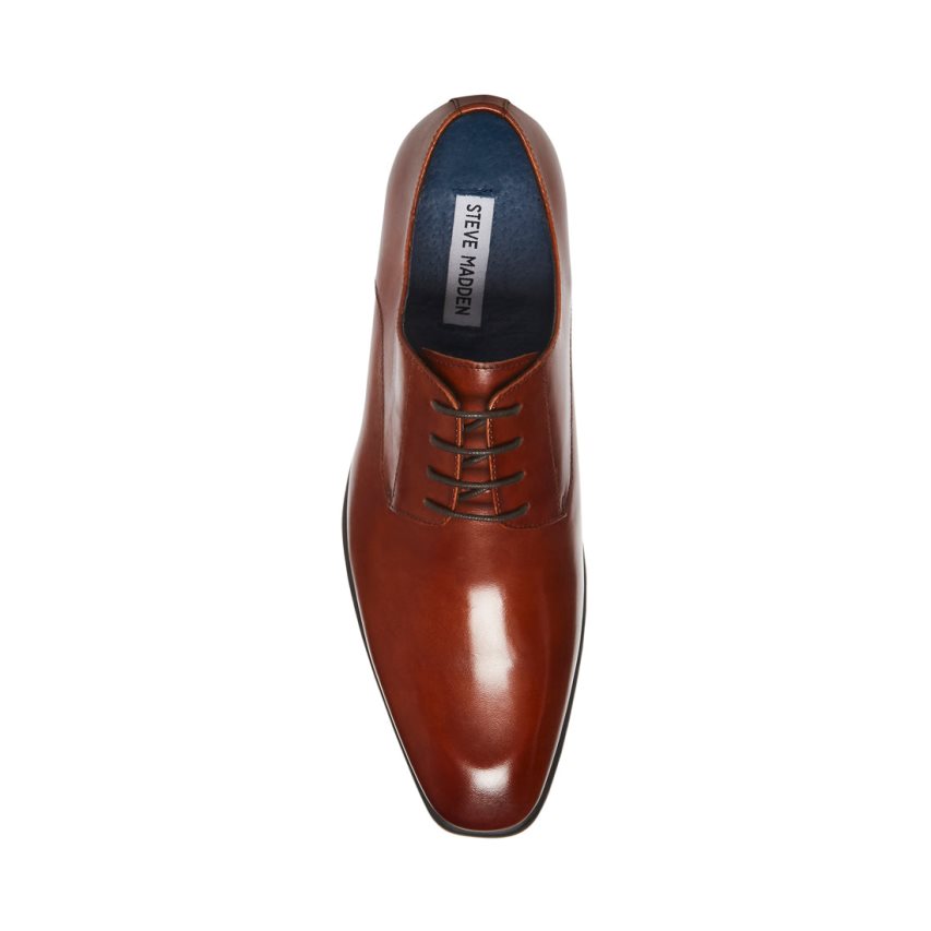 Dark Brown Steve Madden Beaux Leather Men's Derby Shoes | VUSGH7036