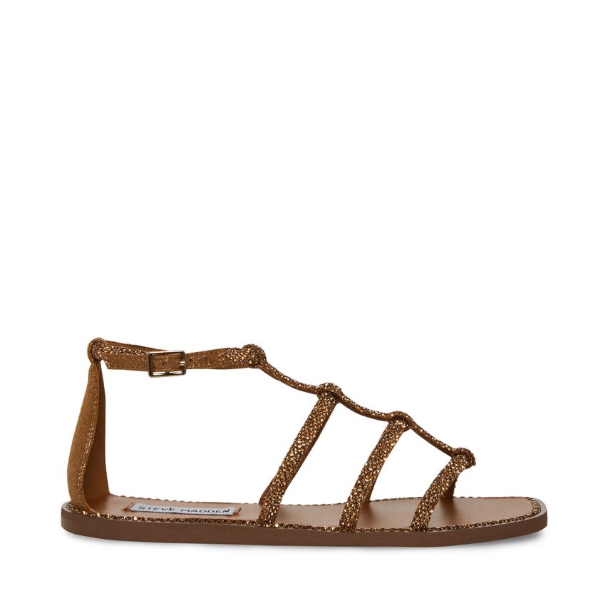 Dark Brown Steve Madden Neptune Women\'s Flat Sandals | EUK12B8657