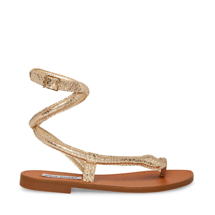 Gold Steve Madden Scales Snake Women\'s Flat Sandals | IUGO127485