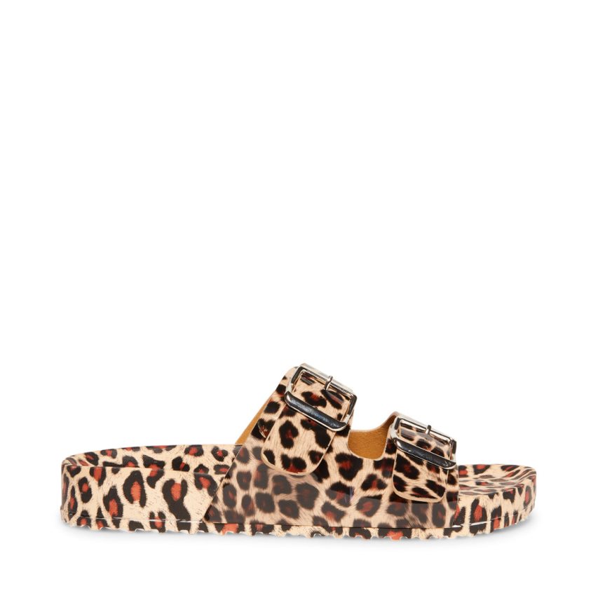 Leopard Steve Madden Teddy-t Women's Slides | JHVUR7586