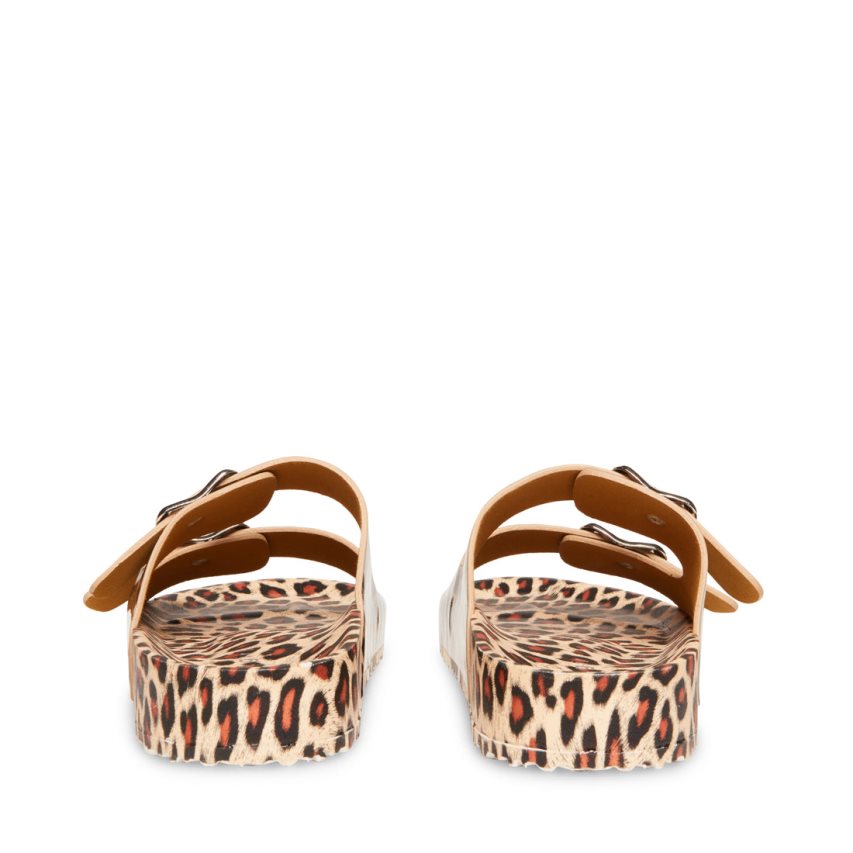 Leopard Steve Madden Teddy-t Women's Slides | JHVUR7586