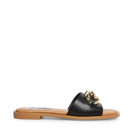 Black Steve Madden Gene Women's Slides | BJYWN0713