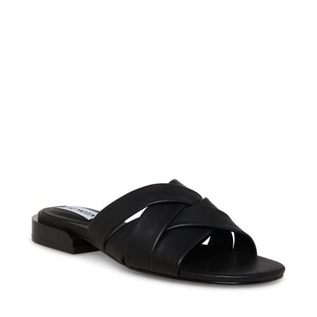 Black Steve Madden Kessy Women's Mules | RMCUB0943