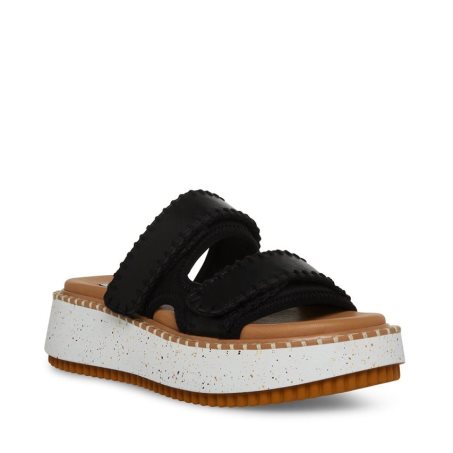 Black Steve Madden Otto Women's Slides | YT12NA2465