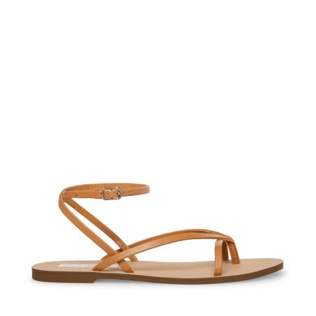 Brown Steve Madden Amuse Women's Flat Sandals | IJLFY5041