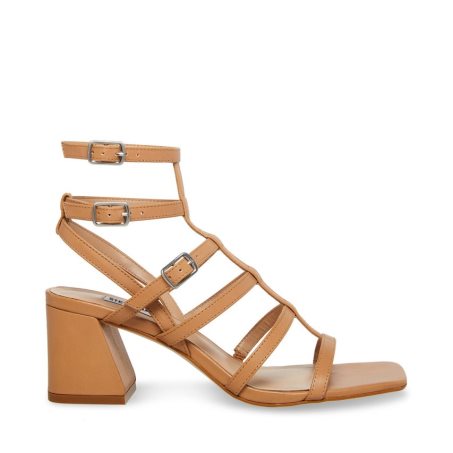 Brown Steve Madden August Leather Women's Heels Sandals | MUIGW0263