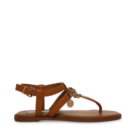 Brown Steve Madden Azalia Leather Women's Flat Sandals | RVIFB4056