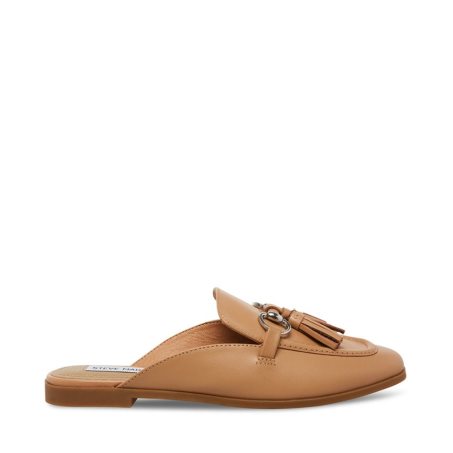 Brown Steve Madden Cayler Leather Women's Mules | ORVEL7593