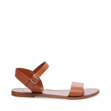 Brown Steve Madden Donddi Leather Women's Flat Sandals | OMVGE6785