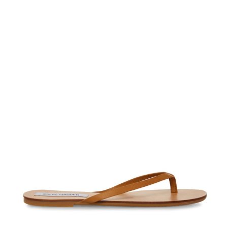 Brown Steve Madden Image Leather Women's Flip Flops | AIFSG5389