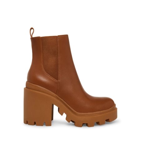 Brown Steve Madden Roxie Leather Women's Ankle Boots | UWKLO3649