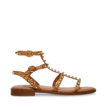 Brown Steve Madden Sunnie Women's Flat Sandals | CIPOR2456