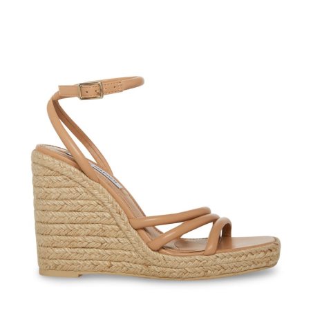 Brown Steve Madden Taylor Women's Wedges | OJRZD2681