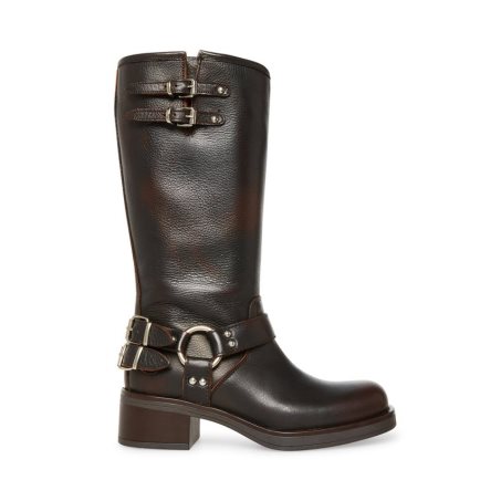 Dark Brown Steve Madden Axelle Leather Women's High Boots | DJW12Y5231