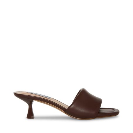 Dark Brown Steve Madden Syrah Women's Mules | XUKLS5639