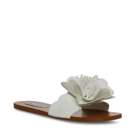 White Steve Madden Chelsea Women's Flat Sandals | YCUXK6502